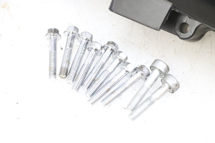 photo de VARIODECKEL PEUGEOT TWEET PRO EFI 4T 50 (2021 - 2022) - Oberflächenzustand und Material