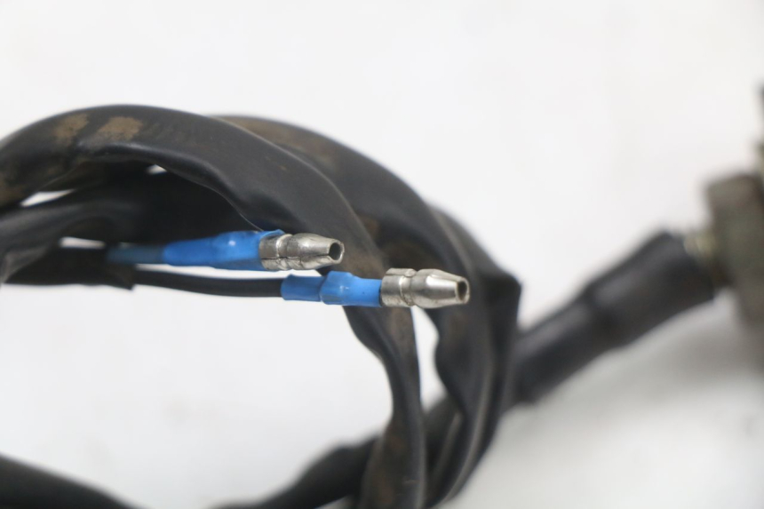 photo de RÜCKLICHT RECHTS JINLUN JL HIGHLANDER 125 (2007 - 2015) - Gesamtansicht des Produkts