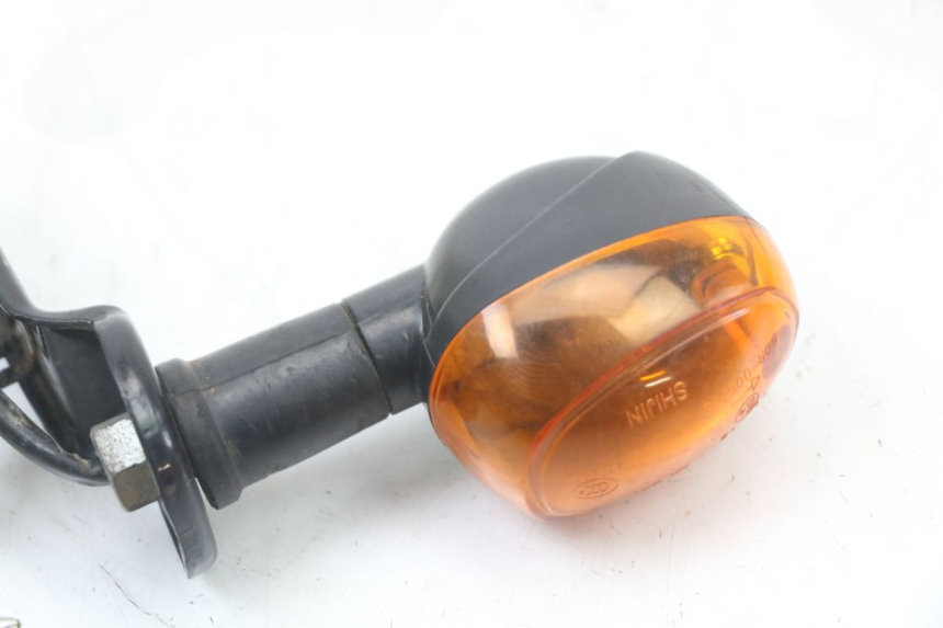 photo de HINTEN RECHTS BLINKER REGAL RAPTOR SPYDER 125 (2010 - 2018) - Detailansicht des Bauteils