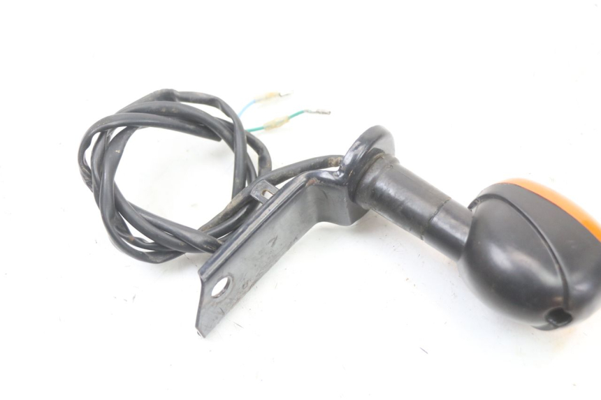 photo de HINTEN RECHTS BLINKER REGAL RAPTOR SPYDER 125 (2010 - 2018) - Technische Nahaufnahme