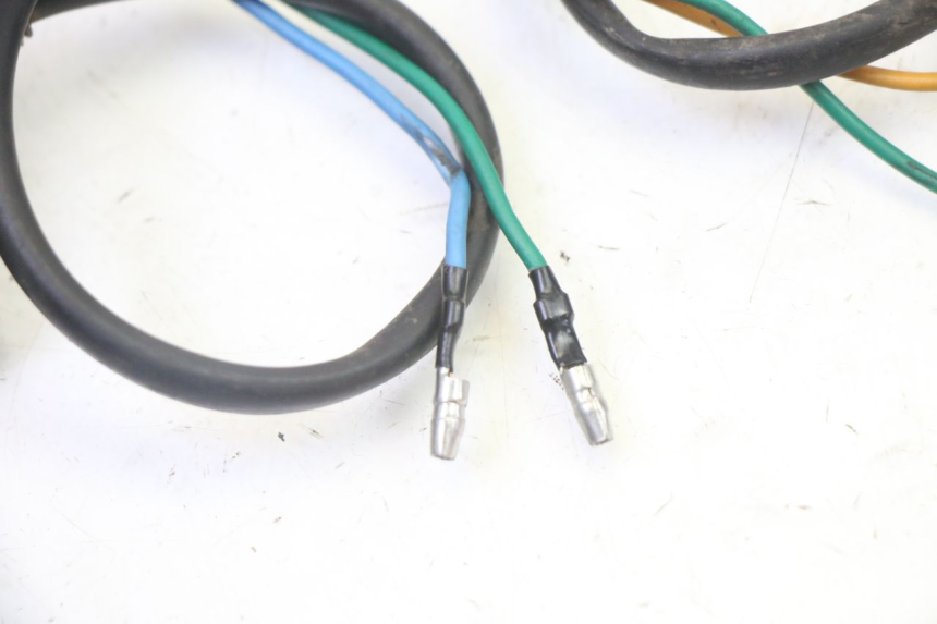 photo de HINTEN BLINKER STAHO FH 50 (2018 - 2019) - Oberflächenzustand und Material