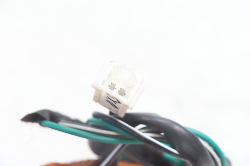 photo de HINTEN LINKS BLINKER ASKOLL ESPRO 1 - Alternative Perspektive
