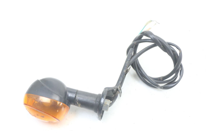 photo de HINTEN LINKS BLINKER REGAL RAPTOR SPYDER 125 (2010 - 2018) - Hauptansicht