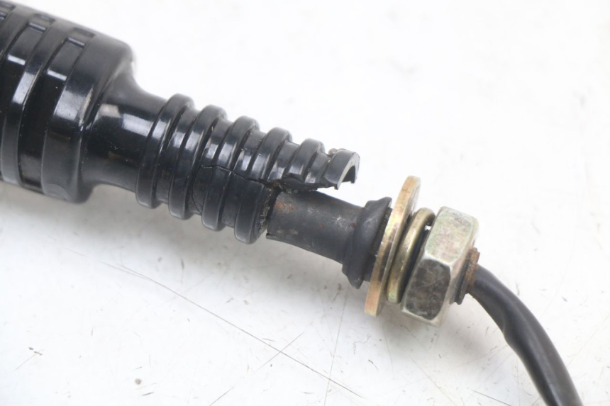 photo de VORNE RECHTS BLINKER MASAI SCRAMBLER SPORT 125 (2021 - 2025) - Technische Nahaufnahme