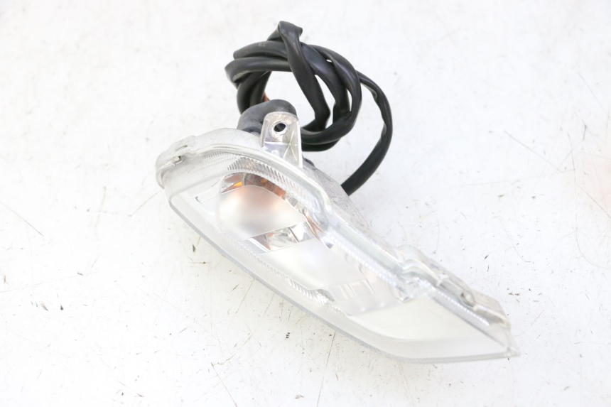 photo de VORNE LINKS BLINKER PEUGEOT TWEET PRO CARGO 50 (2018 - 2022) - Gesamtansicht des Produkts