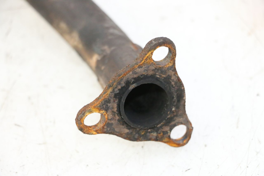 photo de KRÜMMER DAELIM HISTORY 125 (2001 - 2002) - Technische Nahaufnahme