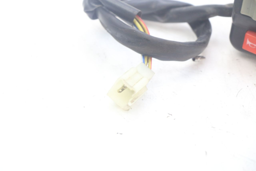 photo de RECHTS SCHALTER DOLPHIN PYGMY 1 (2020 - 2024) - Alternative Perspektive