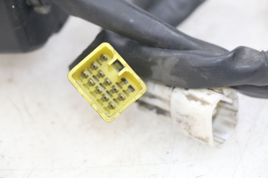 photo de LINKER LENKER SUZUKI BURGMAN 650 (2002 - 2004) - Alternative Perspektive