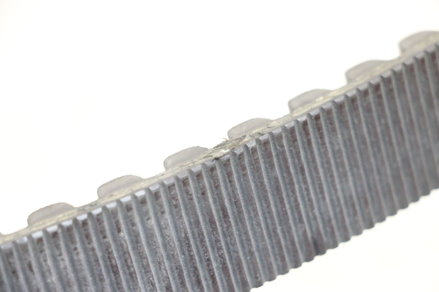 photo de KEILRIEMEN HARLEY DAVIDSON SPORTSTER XL CUSTOM 1200 (2003 - 2004) - Zoom auf Gebrauchszustand