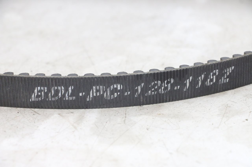 photo de KEILRIEMEN HARLEY DAVIDSON SPORTSTER XL CUSTOM 1200 (2003 - 2004) - Gesamtansicht des Produkts