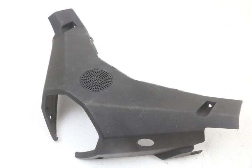 photo de LENKERVERKLEIDUNG HINTEN LONGJIA EASY MAX 125 (2020 - 2024) - Alternative Perspektive