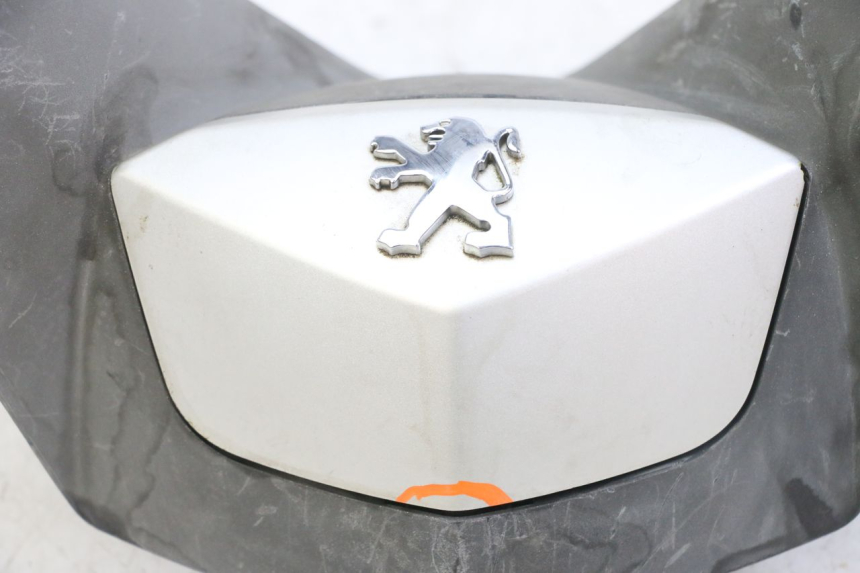 photo de LENKERVERKLEIDUNG VORNE PEUGEOT SATELIS 125 (2013 - 2018) - Details der Befestigungspunkte