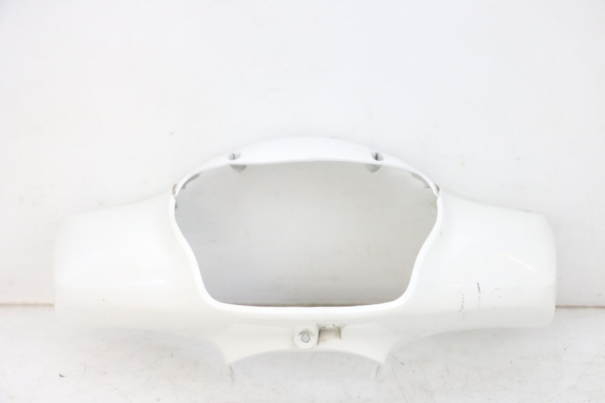 photo de LENKERVERKLEIDUNG VORNE PEUGEOT TWEET PRO EFI 4T 50 (2021 - 2022) - Hauptansicht