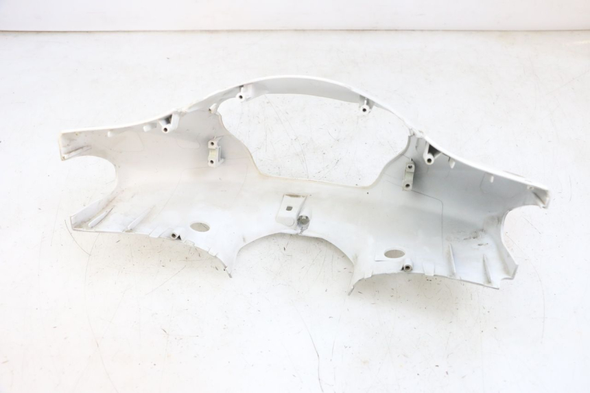 photo de LENKERVERKLEIDUNG VORNE PEUGEOT TWEET PRO EFI 4T 50 (2021 - 2022) - Alternative Perspektive