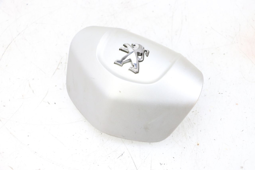 photo de LENKERVERKLEIDUNG PEUGEOT SATELIS 125 (2013 - 2018) - Hauptansicht