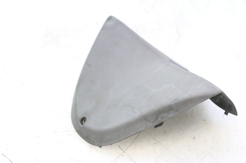 photo de LENKERVERKLEIDUNG PIAGGIO X8 STREET 125 (2006 - 2007) - Alternative Perspektive