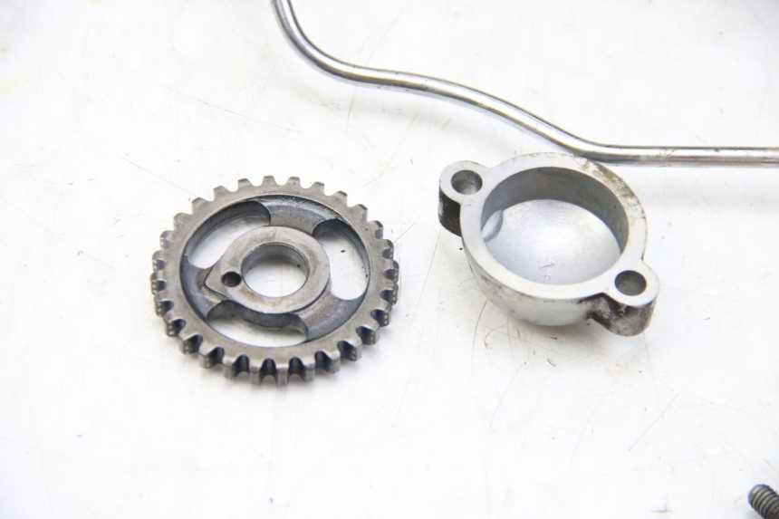 photo de HINTERER ZYLINDERKOPF YAMAHA XV VIRAGO 750 (1984 - 1998) - Alternative Perspektive