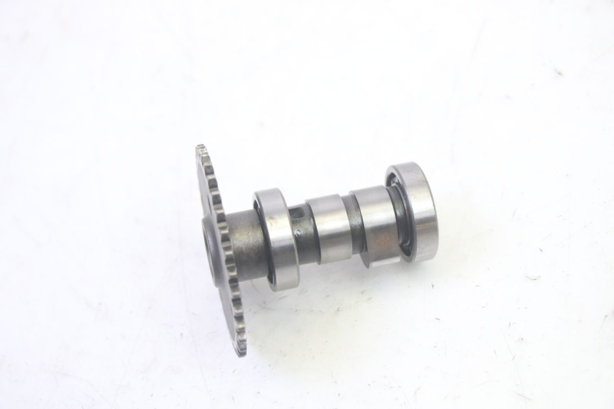 photo de ZYLINDERKOPF LONGJIA DIGITA 4T 50 (2019 - 2022) - Hochauflösende Nahaufnahme