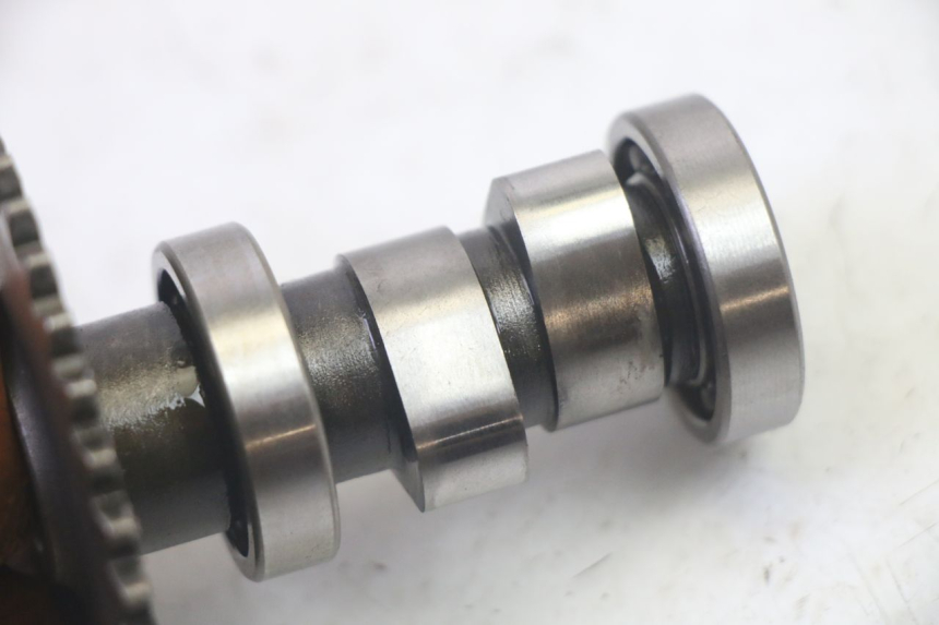 photo de ZYLINDERKOPF LONGJIA DIGITA 4T 50 (2019 - 2022) - Ergänzendes Produktfoto