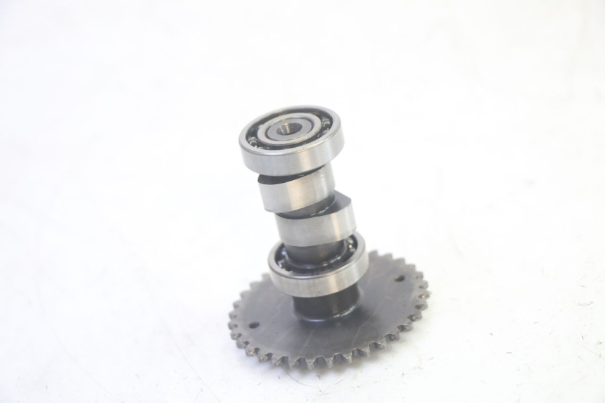 photo de ZYLINDERKOPF LONGJIA DIGITA 4T 50 (2019 - 2022) - Detaillierte Sichtprüfung