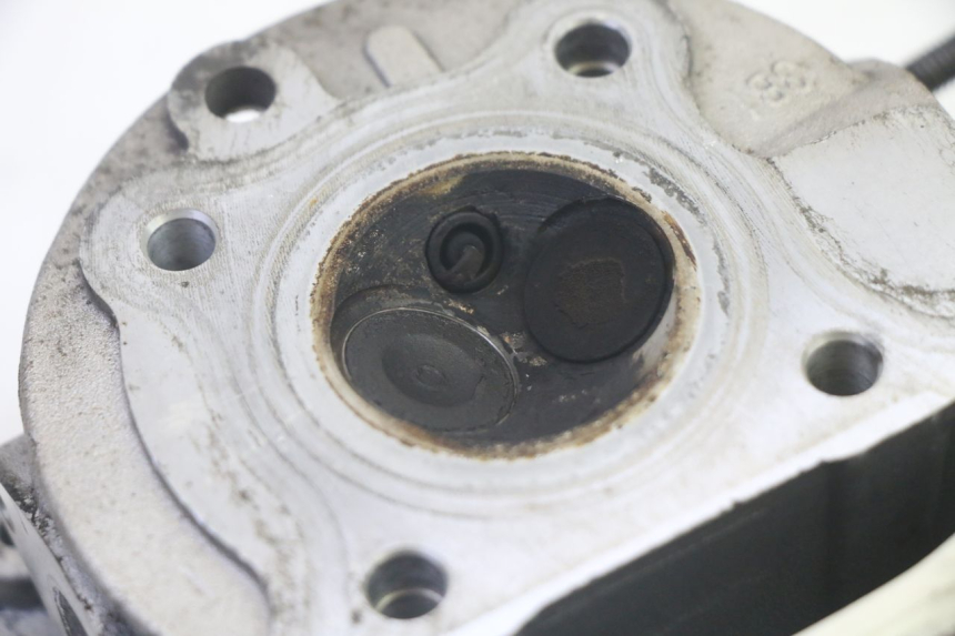 photo de ZYLINDERKOPF LONGJIA DIGITA 4T 50 (2019 - 2022) - Technische Nahaufnahme