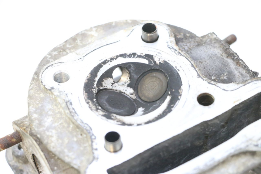 photo de ZYLINDERKOPF JM MOTORS F45i 4T 50 (2020 - 2023) - Detaillierte Sichtprüfung
