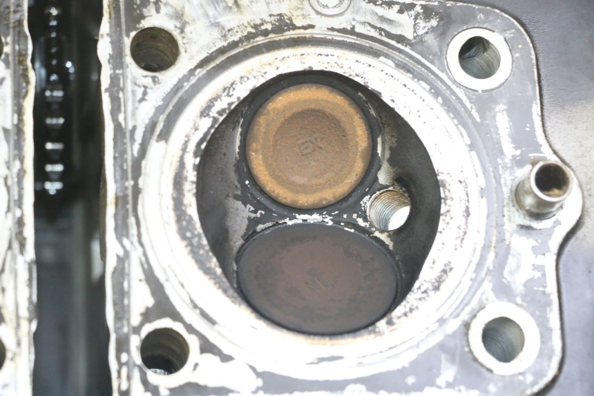 photo de ZYLINDERKOPF SUZUKI GS GSE 500 (2001 - 2003) - Zoom auf Komponenten