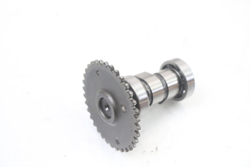 photo de ZYLINDERKOPF MASH CITY 4T 50 (2018 - 2020) - Weitere Ansicht des Artikels