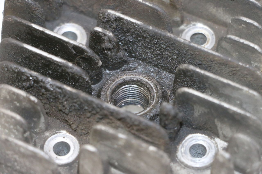 photo de ZYLINDERKOPF PIAGGIO NEW TYPHOON 50 (2010 - 2017) - Alternative Perspektive