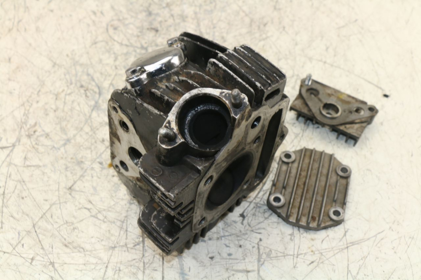 photo de ZYLINDERKOPF PANTHERA PANTHERA 110 (2010 - 2017) - Zoom auf Gebrauchszustand