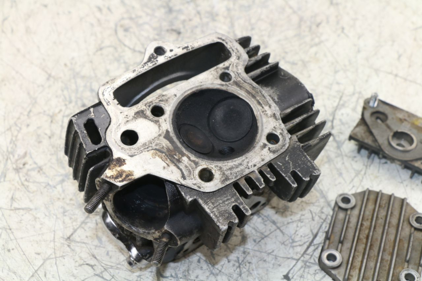 photo de ZYLINDERKOPF PANTHERA PANTHERA 110 (2010 - 2017) - Alternative Perspektive