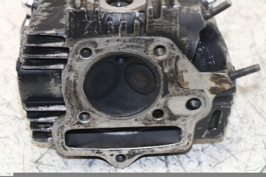 photo de ZYLINDERKOPF PANTHERA PANTHERA 110 (2010 - 2017) - Technische Nahaufnahme