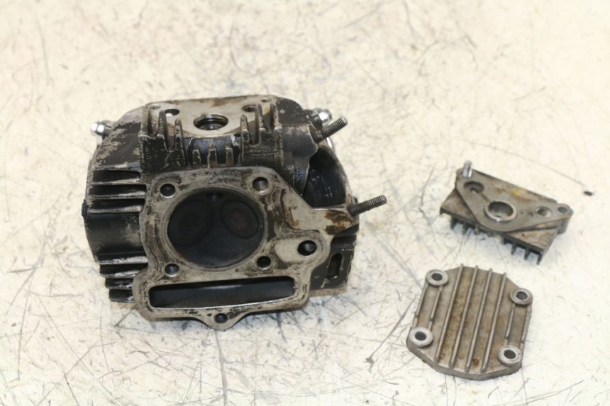 photo de ZYLINDERKOPF PANTHERA PANTHERA 110 (2010 - 2017) - Gesamtansicht des Produkts