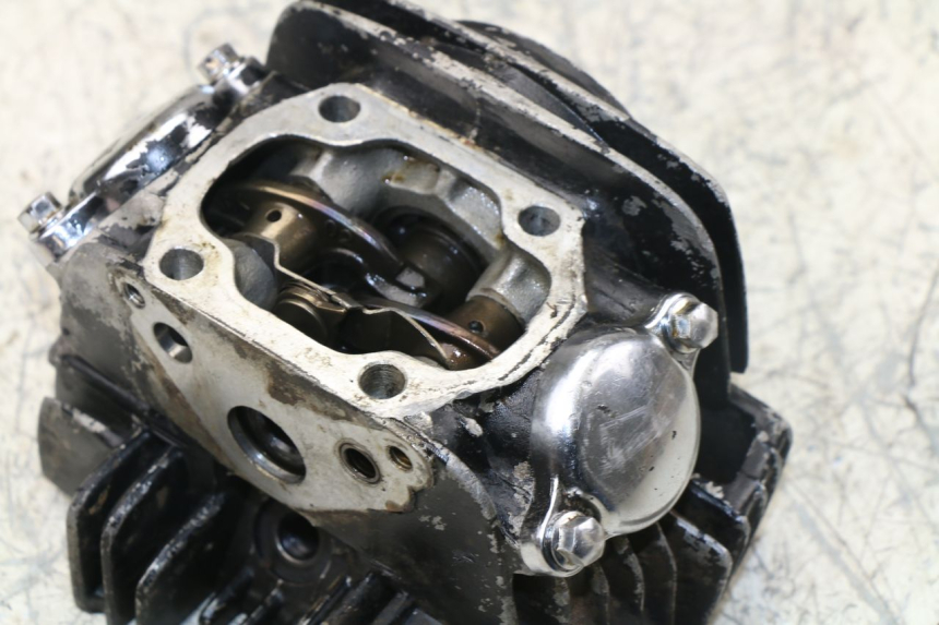 photo de ZYLINDERKOPF PANTHERA PANTHERA 110 (2010 - 2017) - Details der Befestigungspunkte