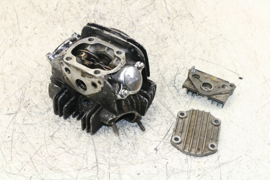 photo de ZYLINDERKOPF PANTHERA PANTHERA 110 (2010 - 2017) - Oberflächenzustand und Material