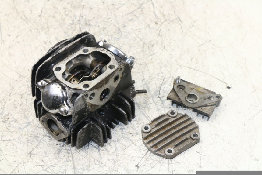 photo de ZYLINDERKOPF PANTHERA PANTHERA 110 (2010 - 2017) - Kennzeichnungen und Originalreferenzen