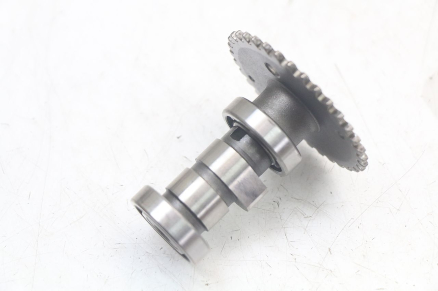 photo de ZYLINDERKOPF TNT MOTOR ROMA 10' 4T 50 (2007 - 2018) - Hochauflösende Nahaufnahme