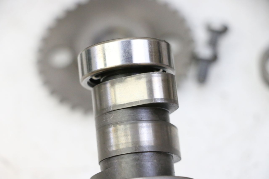 photo de ZYLINDERKOPF PEUGEOT SATELIS 125 (2013 - 2018) - Hauptansicht