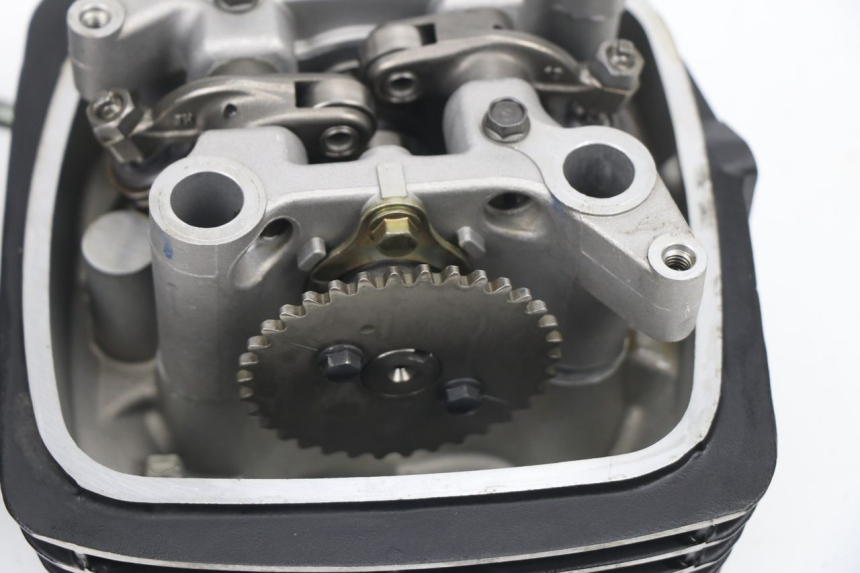 photo de ZYLINDERKOPF MASAI SCRAMBLER 125 (2018 - 2020) - Gesamtansicht des Produkts