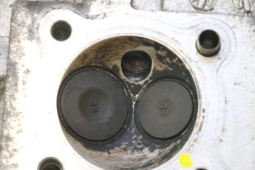 photo de ZYLINDERKOPF HONDA SCV LEAD 100 (2003 - 2007) - Hauptansicht