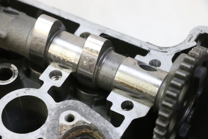 photo de ZYLINDERKOPF YAMAHA TDM ABS 900 (2002 - 2014) - Zoom auf Gebrauchszustand