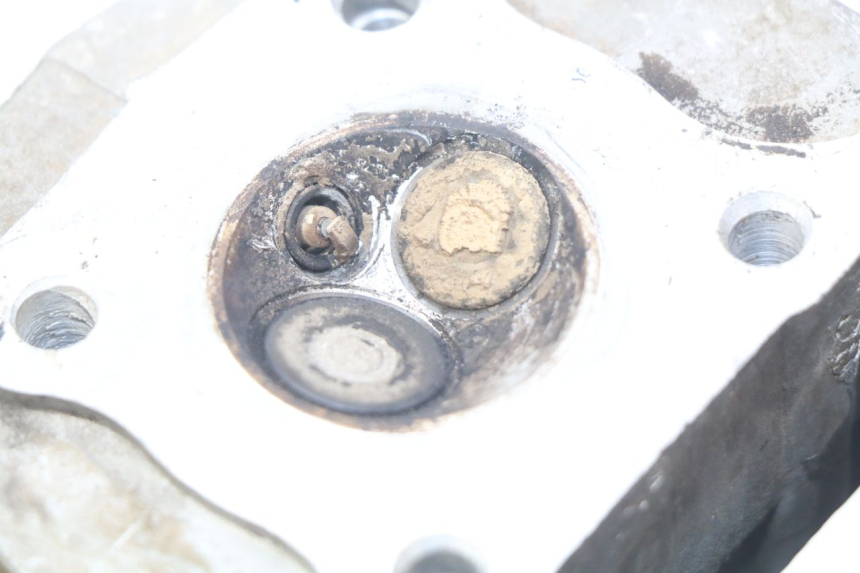 photo de ZYLINDERKOPF EUROCKA VIRTUALITY GT 4T 50 (2011 - 2017) - Alternative Perspektive