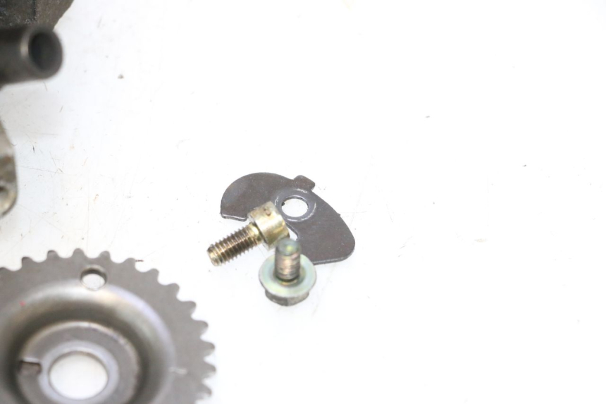 photo de ZYLINDERKOPF YAMAHA YP MAJESTY 125 (2002 - 2006) - Weitere Ansicht des Artikels