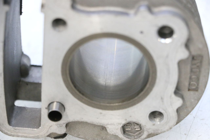photo de ZYLINDER JM MOTORS EVOLIS 4T 50 (2018 - 2022) - Alternative Perspektive