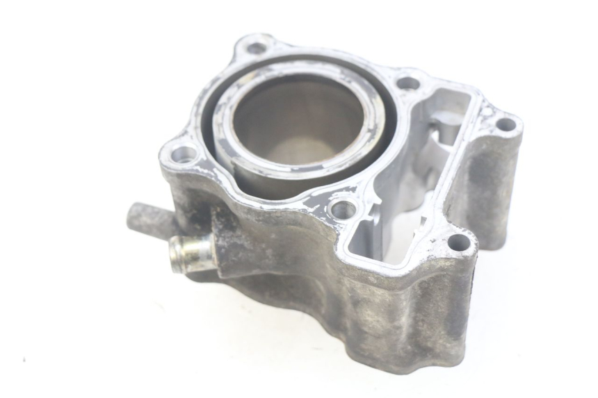 photo de ZYLINDER HONDA FES PANTHEON 125 (2003 - 2007) - Hauptansicht