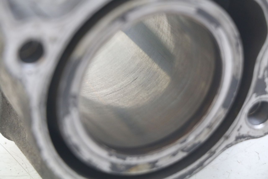 photo de ZYLINDER HONDA FES PANTHEON 125 (2003 - 2007) - Alternative Perspektive