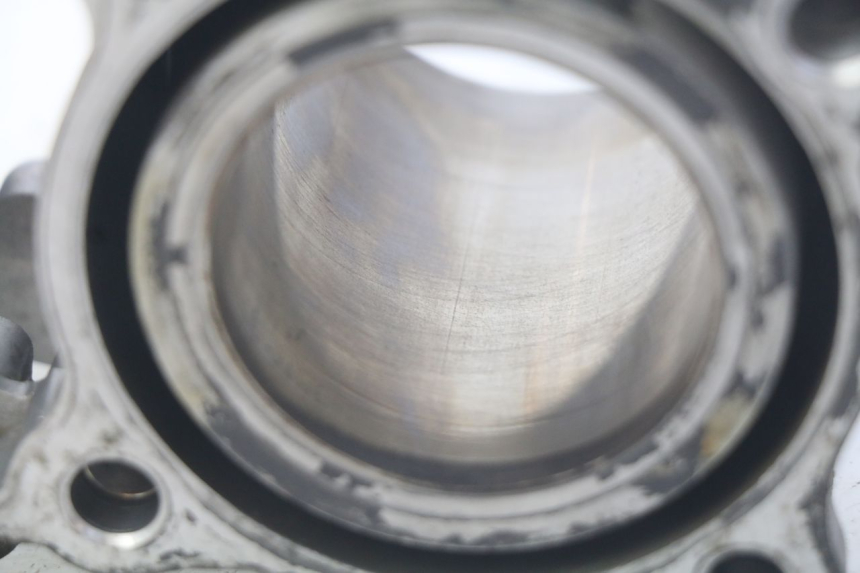 photo de ZYLINDER HONDA FES PANTHEON 125 (2003 - 2007) - Technische Nahaufnahme