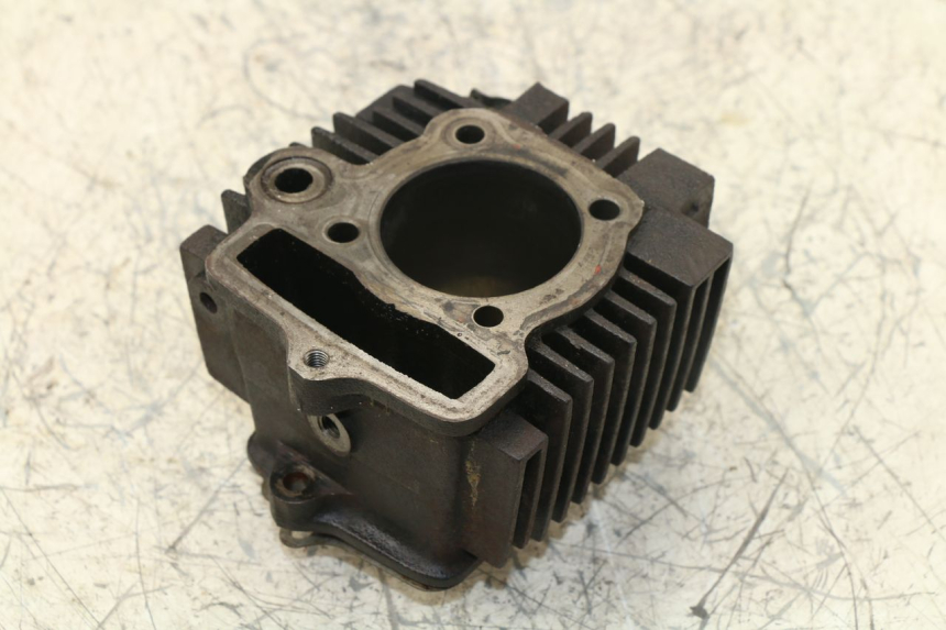 photo de ZYLINDER PANTHERA PANTHERA 110 (2010 - 2017) - Hauptansicht