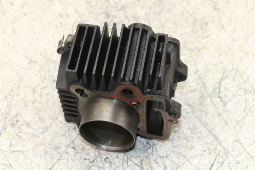 photo de ZYLINDER PANTHERA PANTHERA 110 (2010 - 2017) - Weitere Ansicht des Artikels