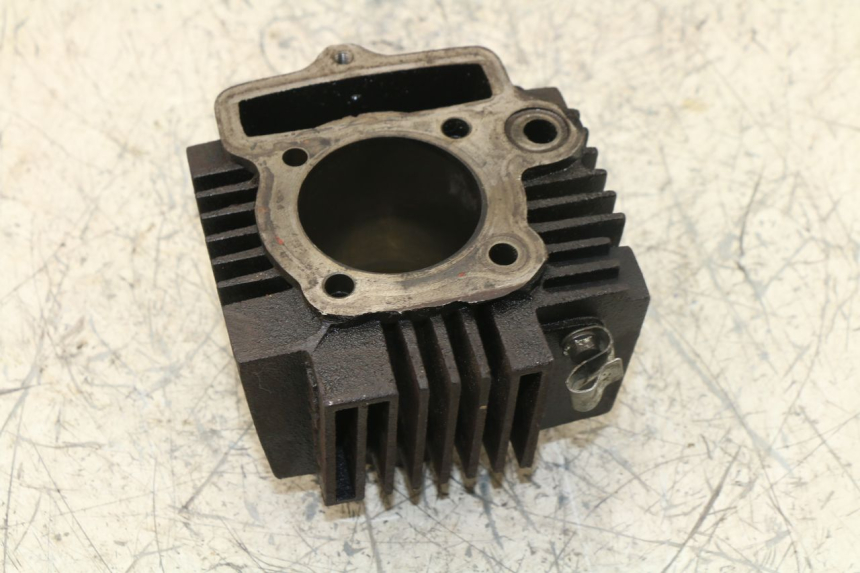 photo de ZYLINDER PANTHERA PANTHERA 110 (2010 - 2017) - Charakteristische Merkmale